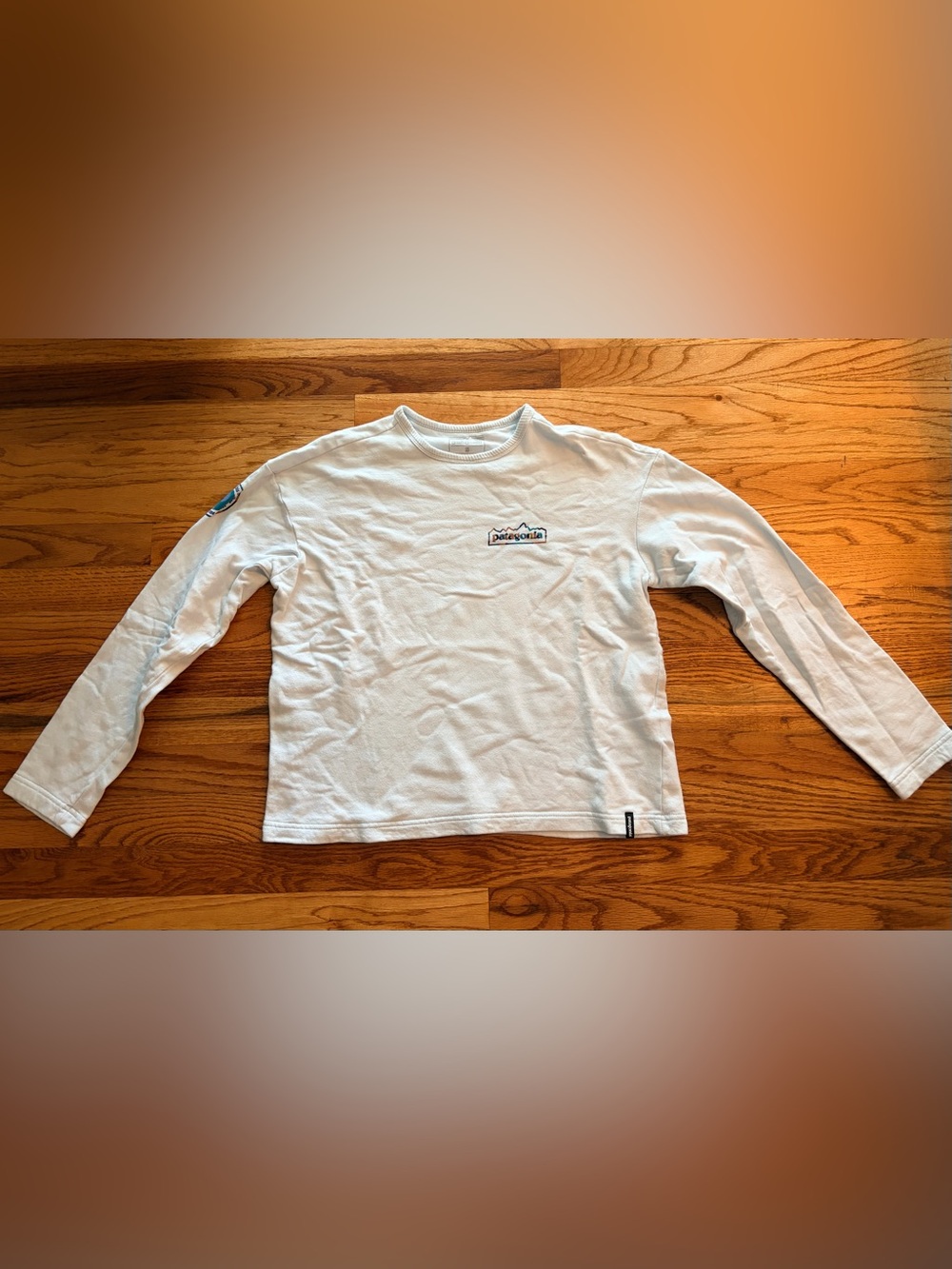 Patagonia Wildrise Unity Fitz Long Sleeve Crewneck Sweatshirt Baby Blue Small